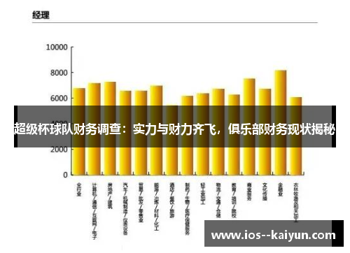 超级杯球队财务调查：实力与财力齐飞，俱乐部财务现状揭秘