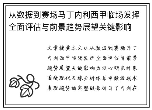 从数据到赛场马丁内利西甲临场发挥全面评估与前景趋势展望关键影响